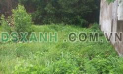 Chính chủ bán 100m2 đất gần ngã tư Hiệp Phước và ngã ba Nhơn Trạch chỉ 300tr. Lh:0915241718.