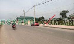Bán cắt lỗ lô đất 124m2 băng 1 đường 310 Kim Long, Tam Dương – Giá 3,xx tỷ