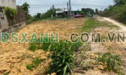 Lô Đất Full Thổ Cư 253m2  đường nhựa Bầu Công  4Tỷ5 TL. Lh:0878132345