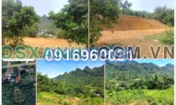 ⭐Gia đình cần bán 9000m2 đất tại Tú Sơn, Kim Bôi, Hòa Bình, 300k/m2; 0916960021