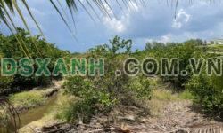 8800 đất vườn xã Thạnh Hòa, Bến Lức, Long An giá 4,8 tỷ