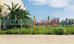 Bán đất Dịch Vụ Tân Ngọc, Bình Xuyên, Vĩnh Phúc – DT 100m2 – Giá 2 tỷ