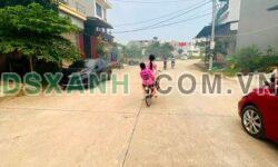 Bán đất Khu Dàn Chiếu, Hợp Thịnh, Tam Dương, Vĩnh Phúc – DT 100m2 – Giá 2,xx tỷ