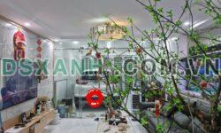 Cho thuê nhà tại Ngõ 111 Đông Khê – Ngô Quyền, Hải Phòng