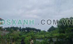 Bán đất Khu 9, Phú Hộ, Thị Xã Phú Thọ – DT 120m2 – Giá 5xx triệu