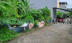 Bán đất Khu 1, Vân Cơ, Việt Trì, Phú Thọ – DT 72m2 – Giá 1,3xx tỷ