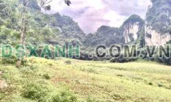 chỉ 380k/m2 lô đất 1.9 ha tại Bình Sơn Kim Bôi đất đẹp như thảonguyên view đồi núi gần nhiều resort