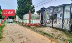 Bán đất Thôn 10, Hoàng Hoa, Tam Dương, Vĩnh Phúc – DT 98m2 – Giá 5xx triệu