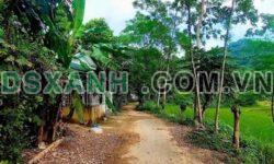 Bán đất thôn Bản Tuỳ, Ngọc Đường Tp Hà Giang – DT 6x30m – Giá 700 triệu