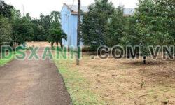 BÁN ĐẤT TẶNG VƯỜN SẦU RIÊNG – GIÁ SIÊU TỐT THÍCH HỢP XÂY NGHỈ DƯỠNG. LH:0335993529