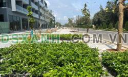 Bán nhà mặt tiền biển, thuận tiện kinh doanh, sổ riêng, DT 6x28m, 5 tầng LH 0979542788