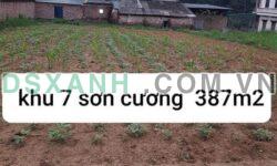 Bán đất Khu 7, Sơn Cương, Thanh Ba, Phú Thọ – DT 15x25m – Giá 9xx triệu