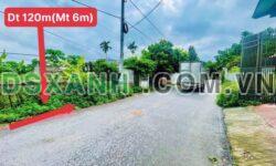 Bán đất Ngoại Trạch, Tam Hợp, Bình Xuyên, Vĩnh Phúc – DT 120m2 – Giá 1,3xx tỷ