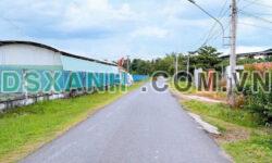 Miếng đất 225m2 đường nhựa ở Hớn Quản, Bình Phước giá chỉ 5xx triệu