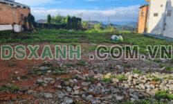 Hot Hot – Giảm giá bán gấp Đất View siêu đẹp đường Lê Văn Tám, Đà Lạt 254m2