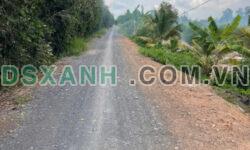 4ha đất vườn xã Thạnh Hòa,Bến Lức,Long An giá 15 tỷ