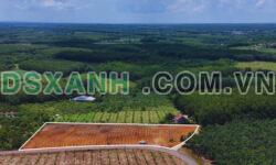 BÁN ĐẤT THỔ CƯ MẶT TIỀN ĐƯỜNG NHỰA GIÁ 4XX