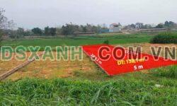 Bán đất Đồng Tĩnh, Tam Dương, Vĩnh Phúc – DT 138m2 – Giá 4xx triệu