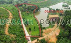 Bán đất View Hồ Lưng Tựa Núi, Yên Bài, Ba Vì, Hà Nội – DT 5000m2 – Giá 15,x tỷ