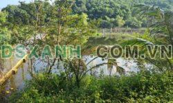 Bán 2000 m2 (150 thổ cư) bám hồ Đồng Mô, Sơn Tây – Giá 1x tỷ