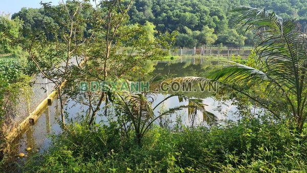 Bán 2000 m2 (150 thổ cư) bám hồ Đồng Mô, Sơn Tây – Giá 1x tỷ