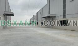 Cho thuê nhà xưởng mới 5000m2 tại huyện Cẩm Giàng tỉnh Hải Dương
