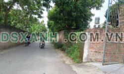 Bán đất thôn Mới, Hướng Đạo, Tam Dương, Vĩnh Phúc – DT 6x20m – Giá 1,1xx tỷ