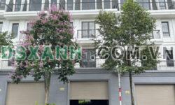 Nhà phố Eco 6.3x25m gần cổng vào dự án, đường trước nhà 30m. Ngay ngã tư Tôn Đức Thắng. Giá 6.75 tỷ