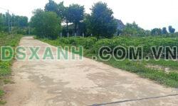Đất thổ cư Chơn Thành 130m2 giá 299 triệu bán nhanh trong tuần