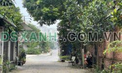 Bán đất Khai Quang, Vĩnh Yên, Vĩnh Phúc – DT 100m2 – Giá 2,xx tỷ