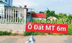 Bán đất Hoàng Hoa, Tam Dương, Vĩnh Phúc – DT 98,4m2 – Giá 5xx triệu