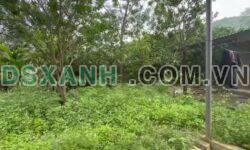 Bán đất trang trại Tây Cốc, Đoan Hùng, Phú Thọ – DT 5000m2 – Giá 1 tỷ 250 triệu
