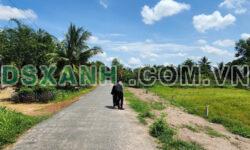 Mặt tiền đường nhựa 150m2 chính chủ cần bán giá ngộp 290 triệu hết đất