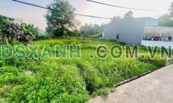Cần bán nhanh 3 lô đất thuộc tổ 2 Hòa Chung (gần trường cấp 1 Hòa Chung)