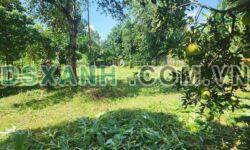 Bán 3000 m2, thổ cư 500 m2 tại Vân Hòa Ba Vì làm nhà vườn hoặc chia lô nhỏ