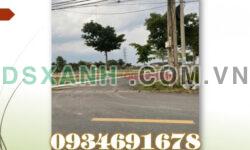 ⭐Bán đất full thổ cư Bình Minh, Trảng Bom, Đồng Nai, bao sổ ngân hàng hỗ trợ 800tr; 0934691678