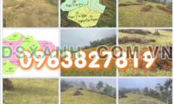 ⭐Cần bán nhanh 88ha đất vị trí đắc địa tại Phong Minh, Lục Ngạn, Bắc Giang, 0963827819