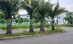 Đất Nền Full Thổ Cư Sổ Hồng Sẵn Sang Tên Ngay Giá Rẻ
