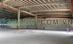 Cho thuê kho xưởng 8.000m2 Bình Chánh, TP HCM.