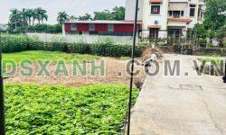 Chính chủ cần bán 2 lô đất Đan Kim, Liên Nghĩa, Văn Giang – DT 62.1m2 – Giá 1,x tỷ