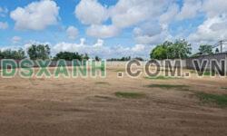 4400m2 đất thổ mt tỉnh lộ 830 Cần Đước,Long An giá 32 tỷ