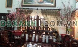 Bán Biệt Thự Trần Văn Quang-ngang 9m-5PN-sổ vuông+đẹp-lô góc thoáng mát-giá tốt