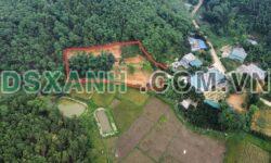 Lô đất làm nhà vườn hoặc Homestay  hơn 1 tỷ – DT 1500 m2, thổ cư 400 m2
