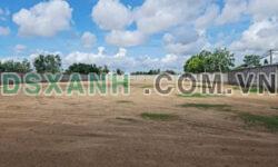 4400m2 đất thổ mt tỉnh lộ 830 Cần Đước,Long An giá 32 tỷ