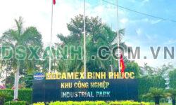 Đất chính chủ ngay KCN Becamex cần bán gấp giá ngộp trong tuần