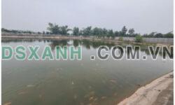 ⭐Chính chủ nhượng trang trại, khu nghỉ dưỡng, làm kho xưởng TT Phú Minh, Phú Xuyên, HN; 0973462975