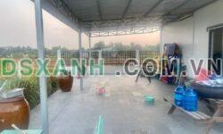 Nhà vườn view cánh đồng lúa tổng dt 2500m2 xã Mỹ Lạc ,Thủ Thừa,Long An giá 4,49 tỷ