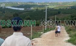Bán 17 lô đất thổ cư có view hồ
