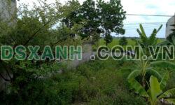 Cần bán nhanh lô đất mặt đường TL517 Đông Yên-Đông Sơn đất đã có sẵn móng nhà kiên cố chắc chắn