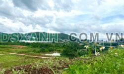🏡 CẦN BÁN NHANH ĐẤT VEN ĐÀ LẠT, BÊN SUỐI – SHR – CÓ SẴN ONT